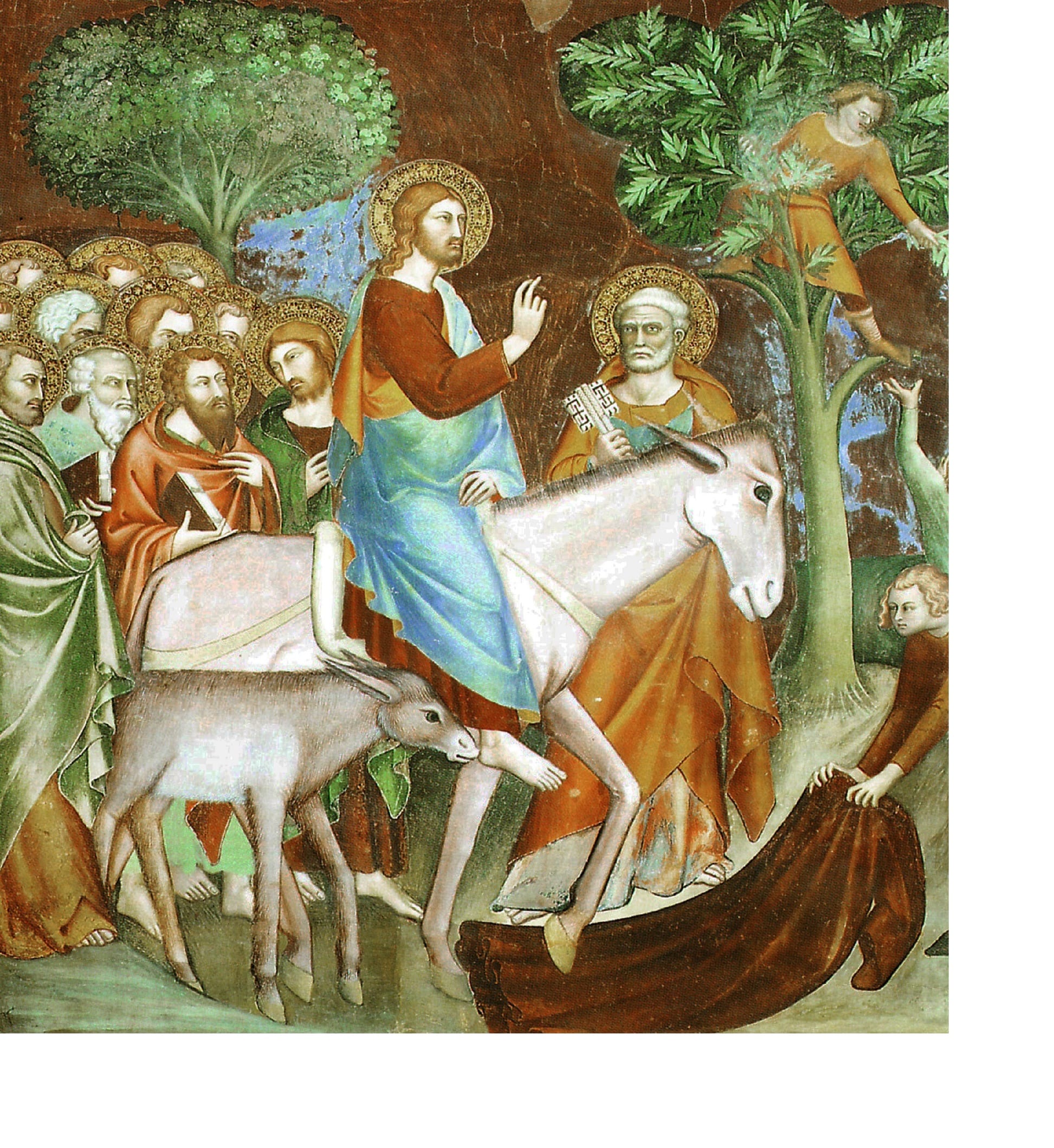 The First Sunday in Advent 2018