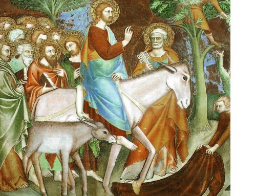 The First Sunday in Advent 2018